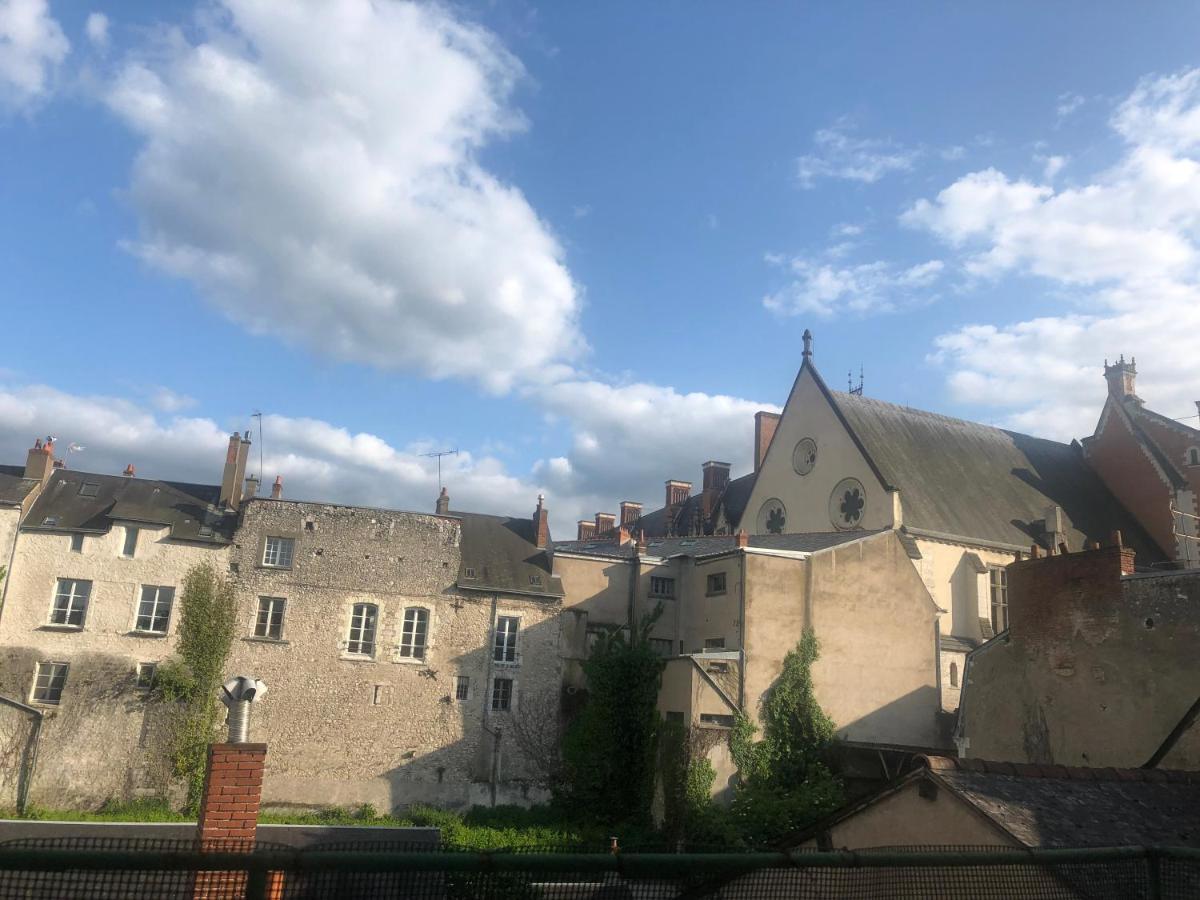 Appartement Cote Chateau - Grand Au Coeur De Blois